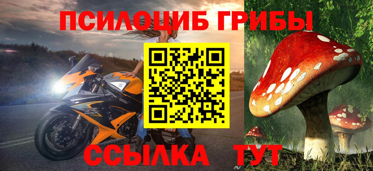 Галлюциногенные грибы Psilocybe  Вход с VPN  Заволжье 